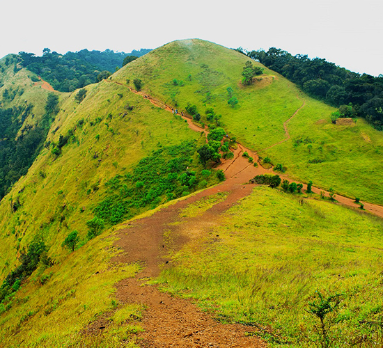 Kodachadri